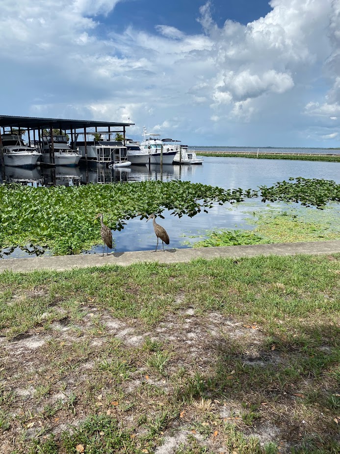 Lake in Sanford, Florida