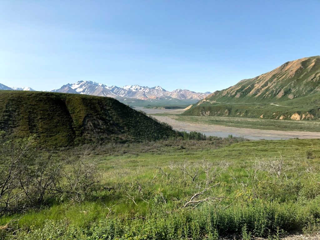 Picture of Denali National Park in Alaska
