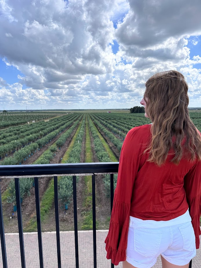 Overlooking the fields of Southern Hill Farms in Clermont, one of the most charming towns near Orlando