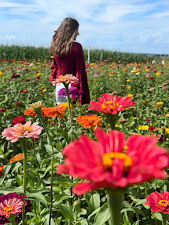 Walking through a Zinnia field at Southern Hill Farms in Clermont, Florida