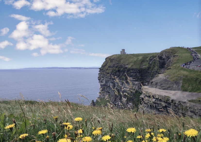 Picture of the Cliffs of Moher in Ireland.