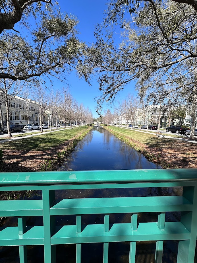 Small lake in the streets of Celebration, Florida
