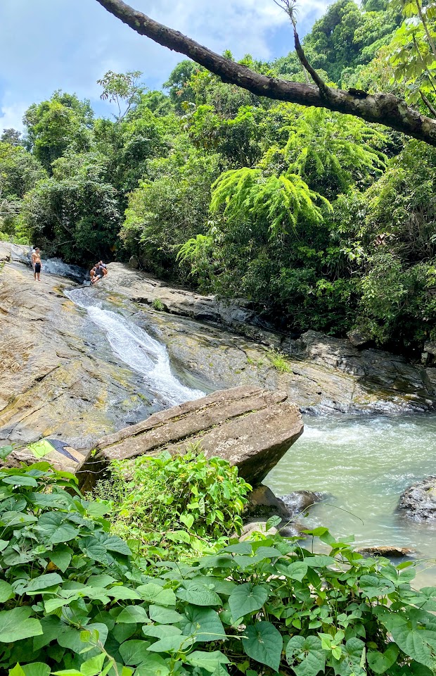 Picture of a natural waterslide in El Yunque National Forest in Puerto Rico.